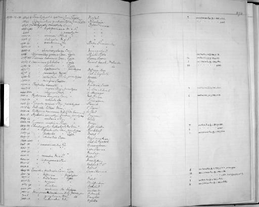 Assiminea isosceles Connolly, 1939 - Zoology Accessions Register: Mollusca: 1925 - 1937: page 276