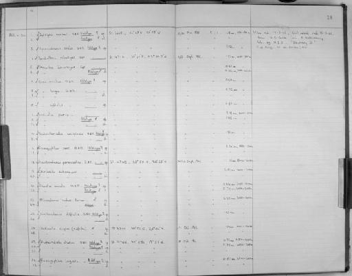Mimocalanus nudus Farran, 1908 - Zoology Accessions Register: Crustacea (Entomostraca): 1963 - 1982: page 20