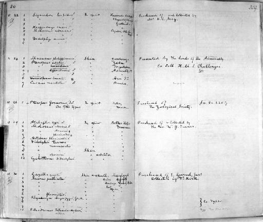 Gazella granti - Zoology Accessions Register: Mammals: 1861 - 1890: page 309