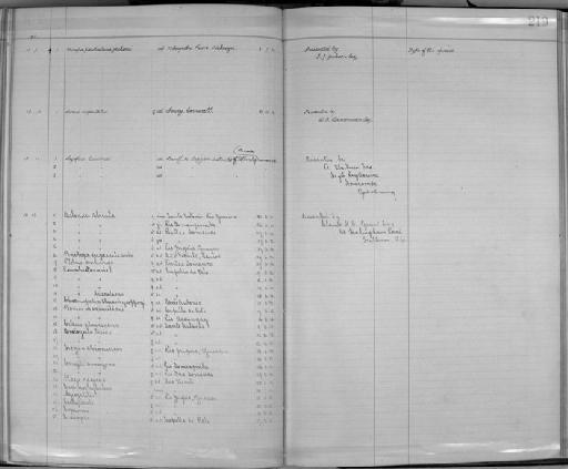 Mirafra poecilosterna jacksoni Ogilvie-Grant, 1913 - Zoology Accessions Register: Aves (Skins): 1911 - 1913: page 219