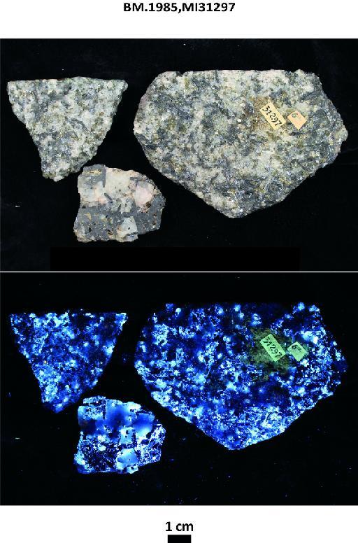 Wolframite, molybdenite, scheelite, pyrite, bismuthinite, chalcopyrite, galena & stibnite in quartz and mica - BM.1985,MI31297 photographs