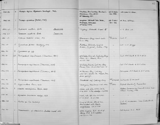 Nymphon brevirostre Hodge, 1863 - Zoology Accessions Register: Crustacea: 1984 - 1991: page 45