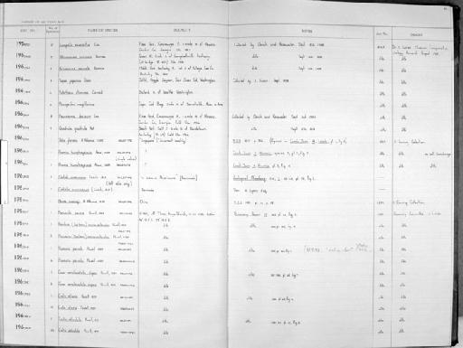 Nassa cumingii A. Adams, 1852 - Zoology Accessions Register: Mollusca: 1962 - 1969: page 37