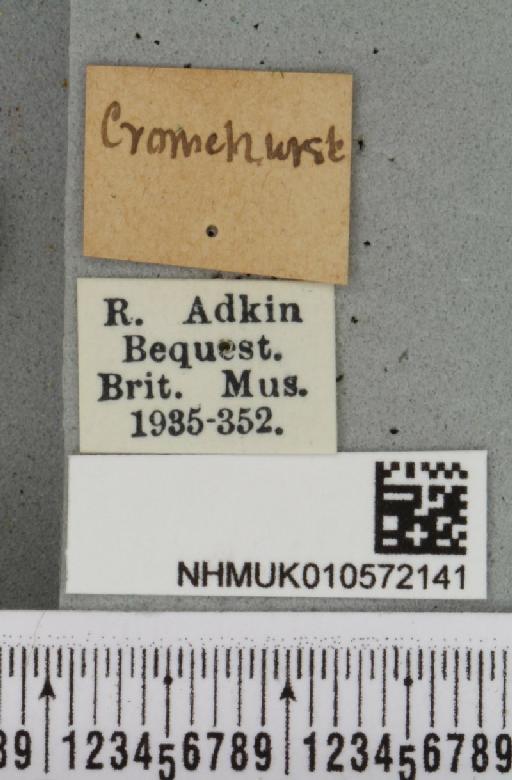 Conistra vaccinii (Linnaeus, 1761) - NHMUK_010572141_label_629858