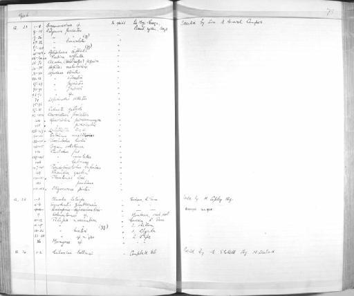Hypostomus paulinus (von Ihering, 1905) - Zoology Accessions Register: Fishes: 1937 - 1960: page 78