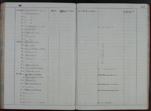 Phillipsinella parabola - NHM-UK_P_DF118_02_17_0199