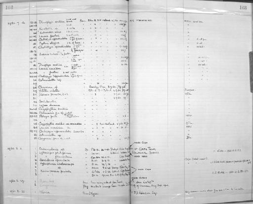 Sertularella Gray, 1848 - Zoology Accessions Register: Coelenterata: 1934 - 1951: page 168