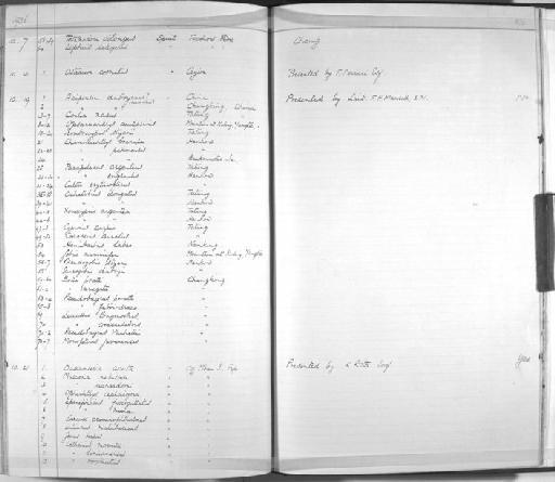 Muraena richardsoni - Zoology Accessions Register: Fishes: 1912 - 1936: page 374