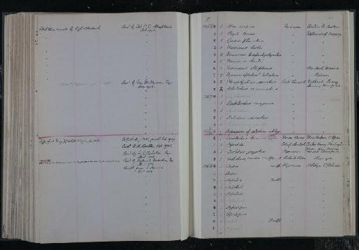 Coelodus laevidens Woodward, 1918 - NHM-UK_P_DF118_03_10_0233