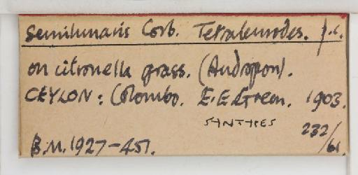 Crescentaleyrodes semilunaris Corbett, 1926 - 013500265_additional
