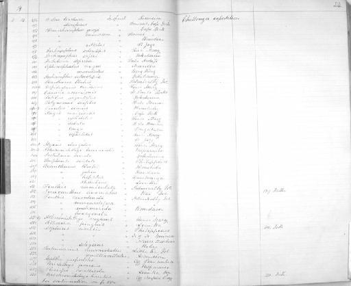 Branchiostegus japonicus Houttuyn, 1782 - Zoology Accessions Register: Reptiles & Fishes: 1878 - 1892: page 24