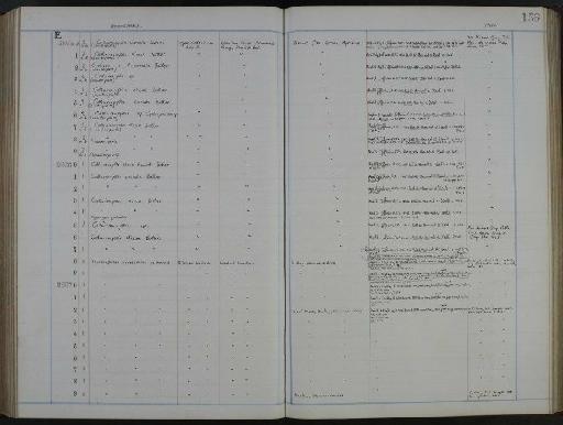 Cothurnocystis elizae Bather - NHM-UK_P_DF118_02_54_0313