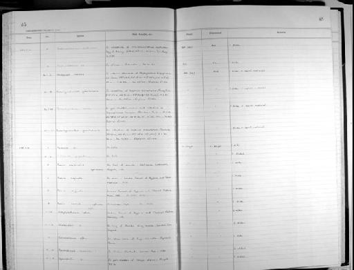 Tetraphyllidae - Zoology Accessions Register: Platyhelminth: 1987 - 1993: page 65