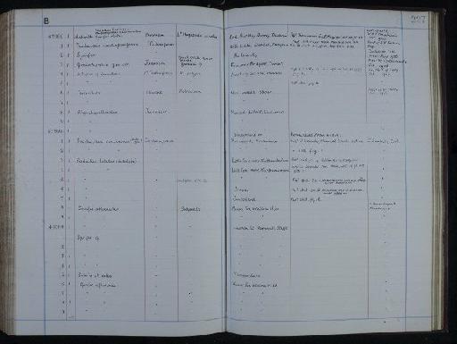 Productus lobatus J. Sowerby - NHM-UK_P_DF118_05_06_0455