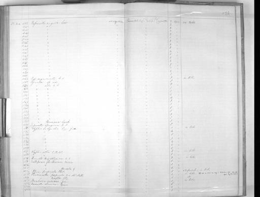 Fissurella spongiosa Carpenter, 1857 - Zoology Accessions Register: Mollusca: 1854 - 1857: page 172