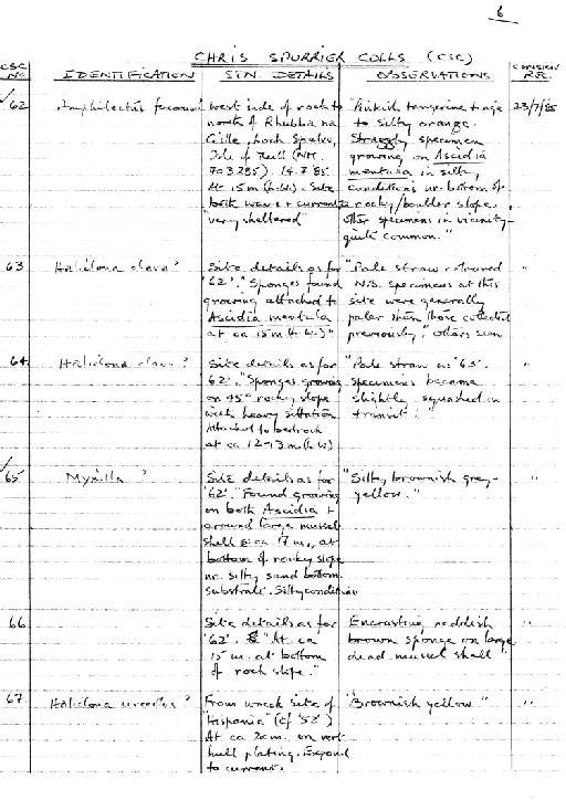 Leucosolenia botryoides (Ellis & Solander, 1786) - specimen notes #s CSC 62 to CSC 67.jpg