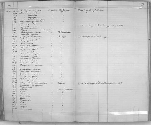 Tetragonopterus argenteus Cuvier, 1816 ex Seba - Zoology Accessions Register: Reptiles & Fishes: 1893 - 1903: page 179