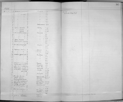 Camaroptera brachyura brachyura (Vieillot, 1820) - Zoology Accessions Register: Aves (Skins): 1884 -1888: page 162