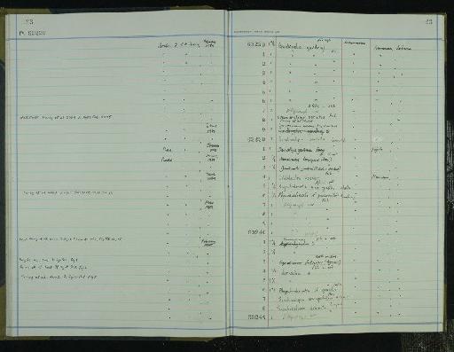Davichthys gardineri Forey, 1973 - NHM-UK_P_DF118_03_20_0051
