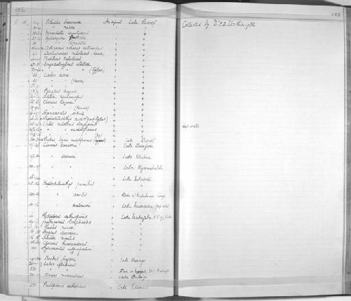 Barbus intermedius australis Banister, 1973 - Zoology Accessions Register: Fishes: 1912 - 1936: page 252