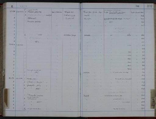 Cothurnocystis elizae Bather - NHM-UK_P_DF118_02_53_0467