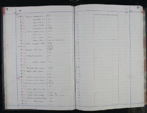 Lingulina grandis Cushman, 1917 - NHM-UK_P_DF118_04_16_0023