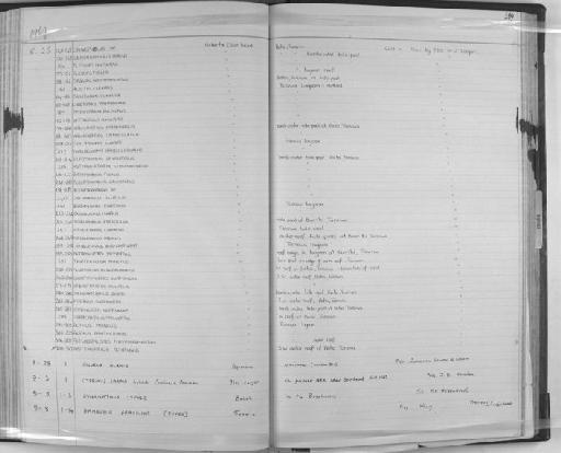 Sebastapistes nuchalis (Günther, 1874) - Zoology Accessions Register: Fishes: 1961 - 1971: page 189