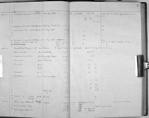 Hastigerella palpilabra Nicholls, 1935 - Zoology Accessions Register: Crustacea (Entomostraca): 1938 - 1963: page 20