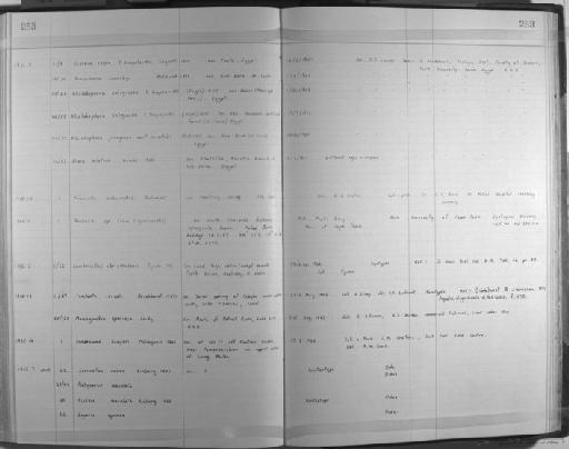 Isochaeta israelis Brinkhurst, 1971 - Zoology Accessions Register: Annelida: 1936 - 1970: page 253