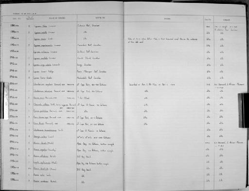 Cypraea onyx adusta Lamarck - Zoology Accessions Register: Mollusca: 1962 - 1969: page 12