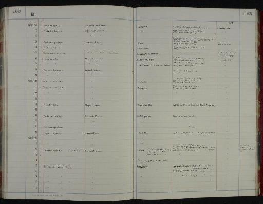 Productus horridus J. Sowerby - NHM-UK_P_DF118_05_08_0321