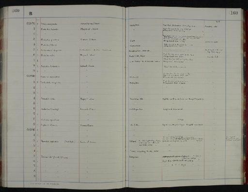 Productus calva J. de C. Sowerby - NHM-UK_P_DF118_05_08_0321