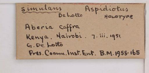 Aspidiotus simulans De Lotto, 1957 - 010141226_additional