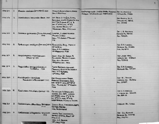Munidopsis alaminos L.H. Pequegnat & W.E. Pequegnat, 1970 - Zoology Accessions Register: Crustacea: 1976 - 1984: page 8