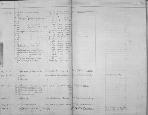 Cyanea Péron & Lesueur, 1810 - Zoology Accessions Register: Coelenterata: 1934 - 1951: page 25