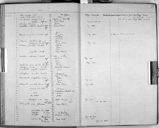 Aetea anguina (Linnaeus, 1758) - Zoology Accessions Register: Bryozoa: 1922 - 1949: page 27