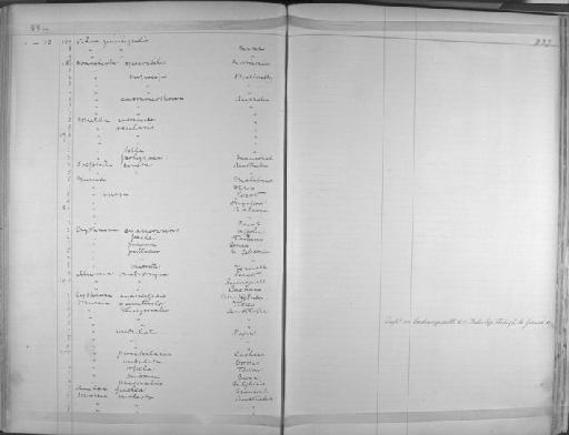 Quelea quelea lathami - Zoology Accessions Register: Aves (Skins): 1880 -1884: page 337