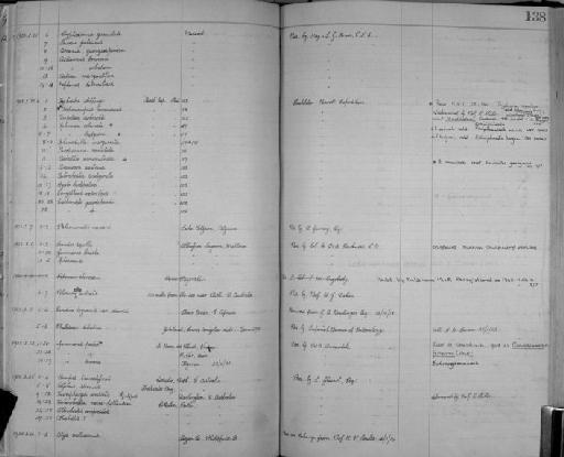 Palaemonetes australis Dakin, 1915 - Zoology Accessions Register: Crustacea: 1905 - 1935: page 138