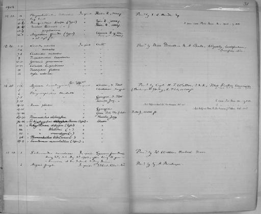 Schizothorax dipogon Regan, 1905 - Zoology Accessions Register: Reptiles & Fishes: 1904 - 1925: page 31