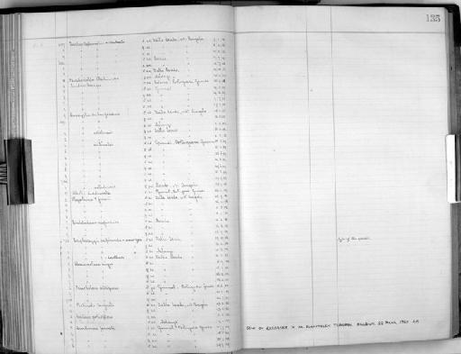 Cercotrichas leucophrys munda (Cabanis, 1880) - Zoology Accessions Register: Aves (Skins): 1909 - 1911: page 135