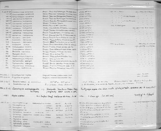 Dactylopterus volitans Linnaeus, 1758 - Zoology Accessions Register: Fishes: 1986 - 1994: page 117