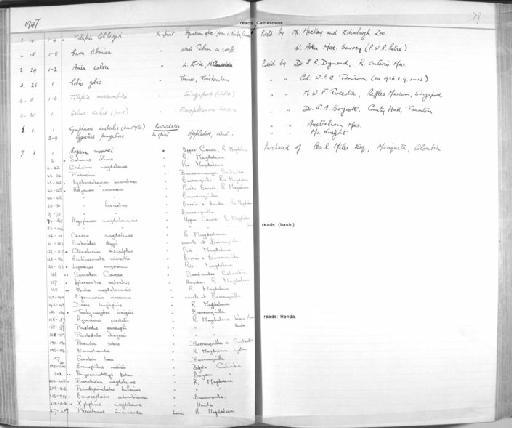 Squaliforma tenuicauda (Steindachner, 1878) - Zoology Accessions Register: Fishes: 1937 - 1960: page 79