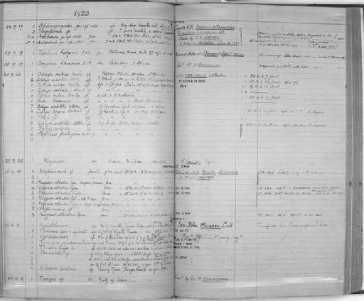 Abylopsis pentagona Quoy and Gaimard - Zoology Accessions Register: Coelenterata & Anthozoa: 1884 - 1934: page 132