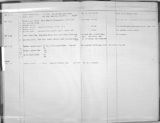 Aglaophenia cupressina Lamouroux, 1816 - Zoology Accessions Register: Coelenterata: 1964 - 1977: page 6