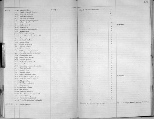 Columbella mutabilis var. var. convexa W. H. Turton, 1932 - Zoology Accessions Register: Mollusca: 1925 - 1937: page 196