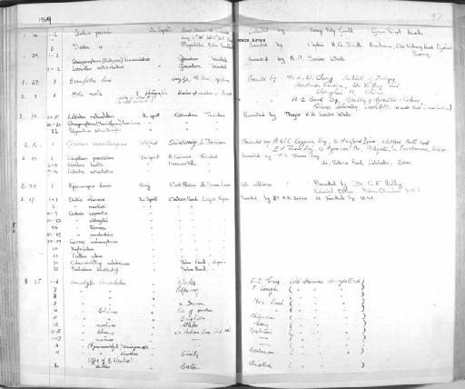 Sicydium punctatum Perugia, 1896 - Zoology Accessions Register: Fishes: 1937 - 1960: page 97