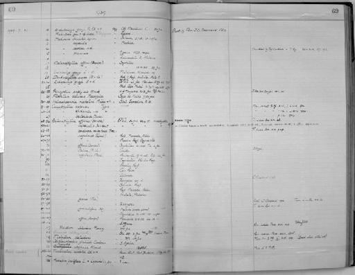 Balanophyllia imperialis Saville Kent, 1871 - Zoology Accessions Register: Coelenterata: 1934 - 1951: page 69