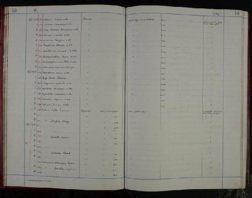 Trochammina intermedia Grzybowski, 1896 - NHM-UK_P_DF118_04_05_0025