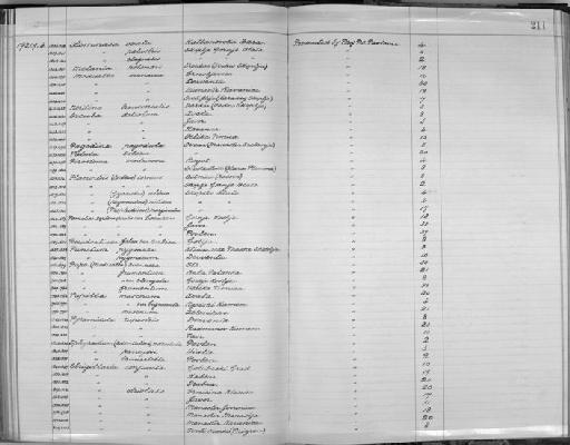 Punctum pygmaeum subterclass Tectipleura (Draparnaud, 1801) - Zoology Accessions Register: Mollusca: 1911 - 1924: page 211