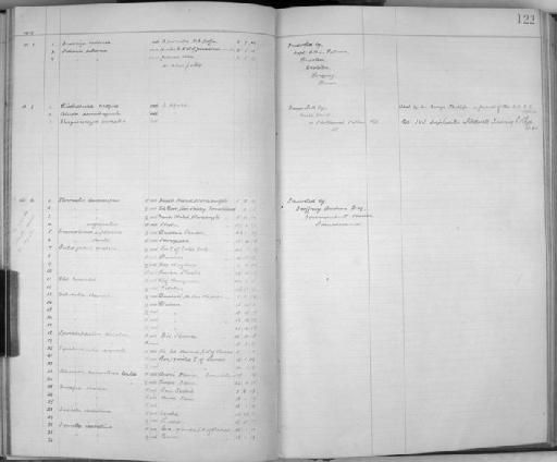 Cercomela spectatrix Clarke, 1919 - Zoology Accessions Register: Aves (Skins): 1916 - 1920: page 122